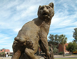 Photo of the Wildcat cougar. Links to Gifts by Will Photo of the Wildcat cougar. Links to Gifts by Will